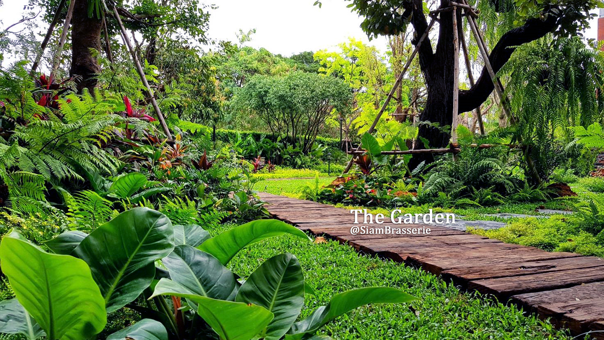 The Garden @ Siam Brasserie