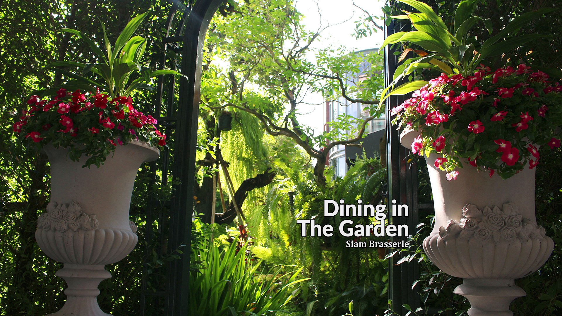 Dining in the Garden Siam Brasserie