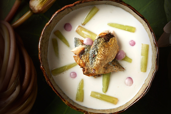 ต้มกะทิสายบัวปลาทู – Siam Brasserie – สยามบราสเซอรี ร้านอาหารไทย  ต้นตำรับคุณย่า บรรยากาศดี